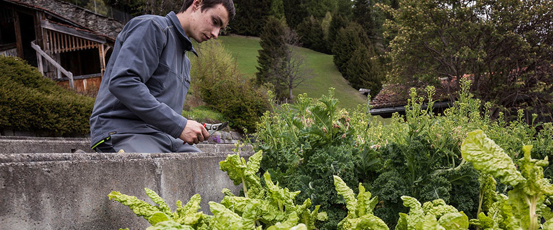 Murezi tends to the garden Murezi Casanova tends to the garden with pruning shears in hand