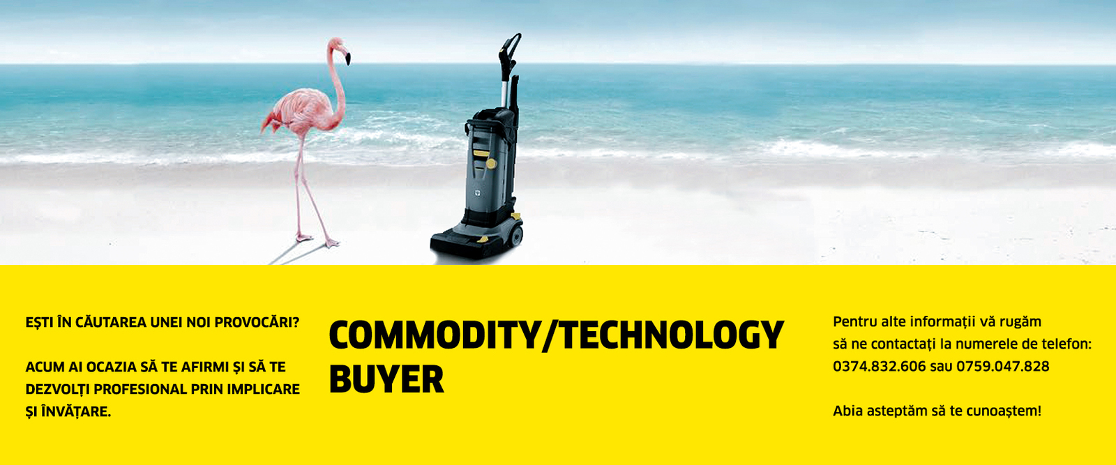 Commodity/Technology buyer Commodity/Technology buyer