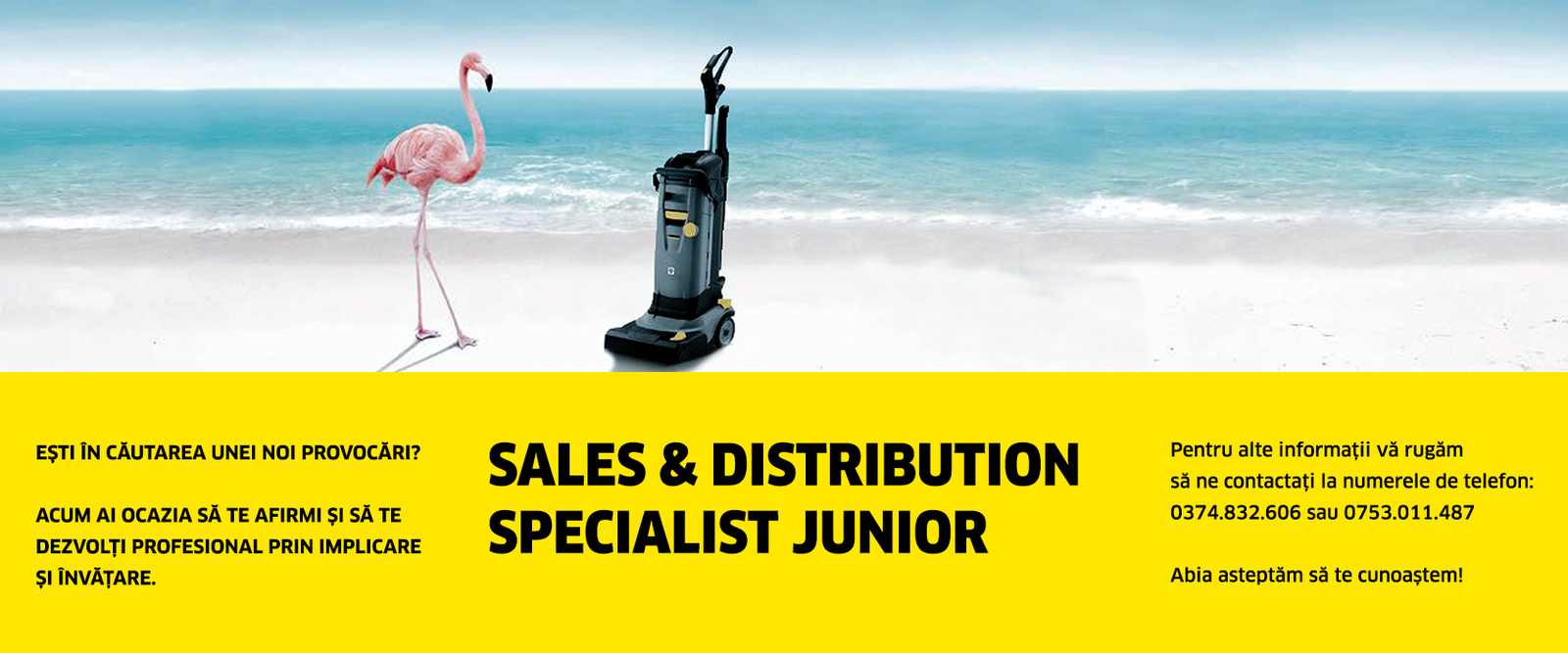 Sales & Distribution Specialist Junior Sales & Distribution Specialist Junior