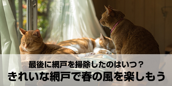 最後に網戸を掃除したのはいつ？きれいな網戸で春の風を楽しもう