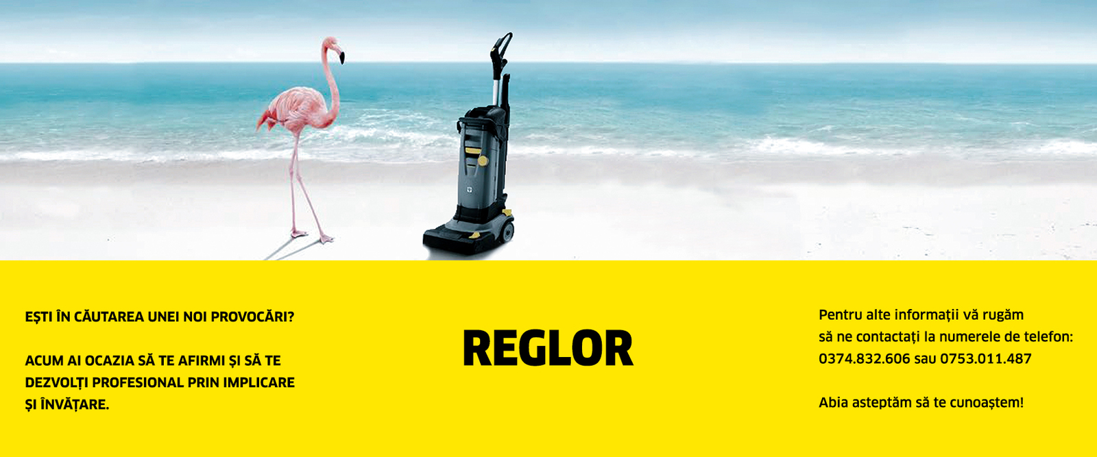 Reglor Reglor