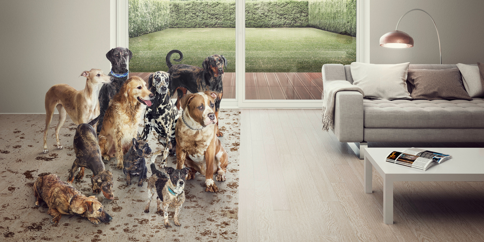 Akku-Fensterreiniger Kärcher Frühjahrsputz Akku-FensterreinigerKärcherFühjahrsputzFenstersauger