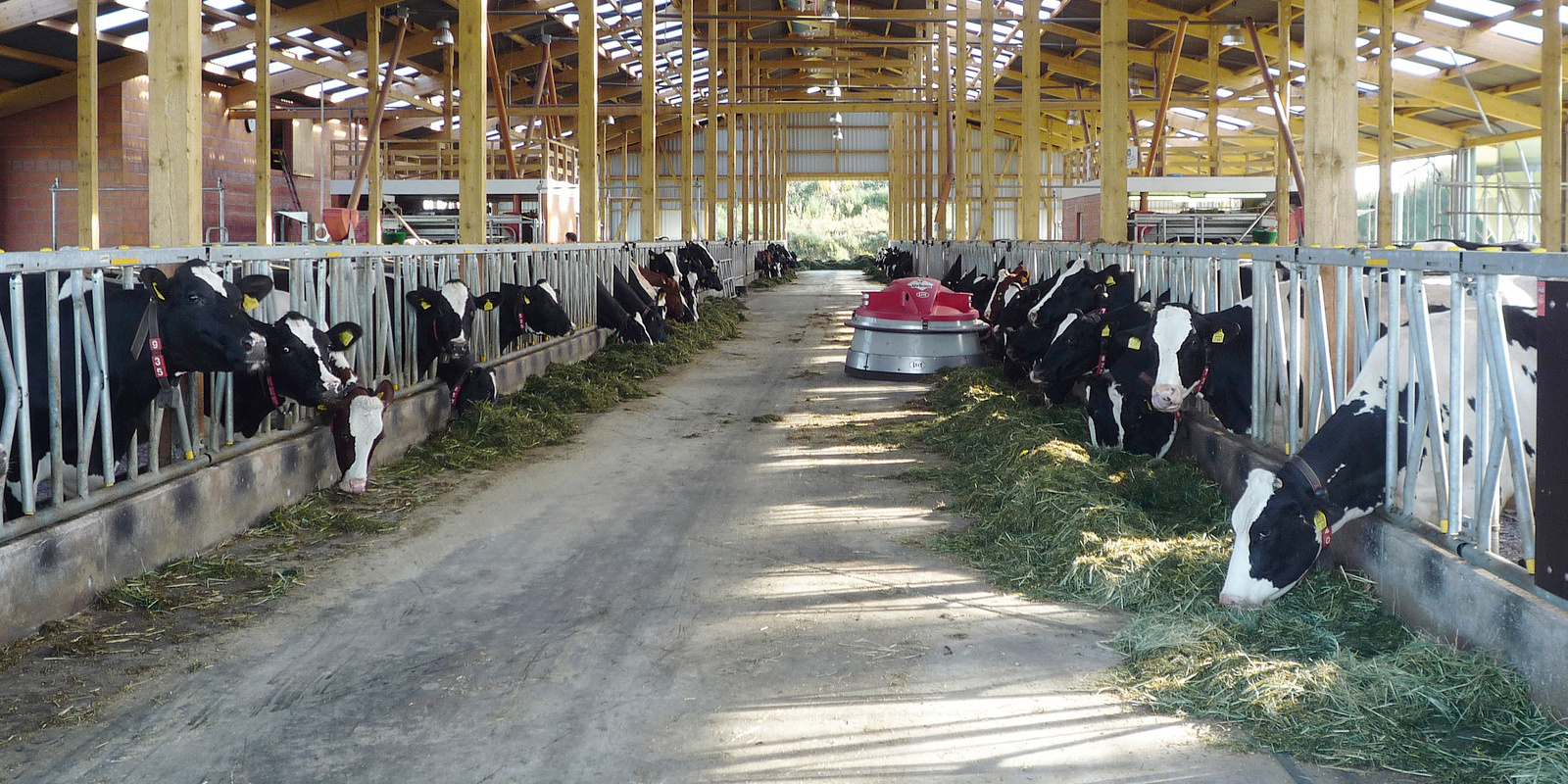Dairy farm