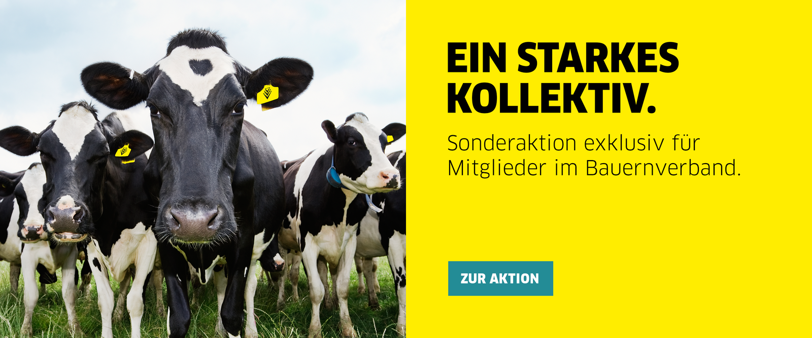 Sonderaktion exklusiv für Mitglieder des Bauernverbands SonderaktionexklusivfürMitgliederSesBauernverbands