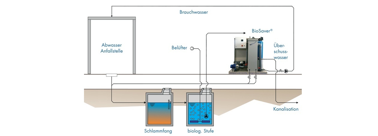 BIOLOGICALLY CLEAN BIOLOGICALLY CLEAN