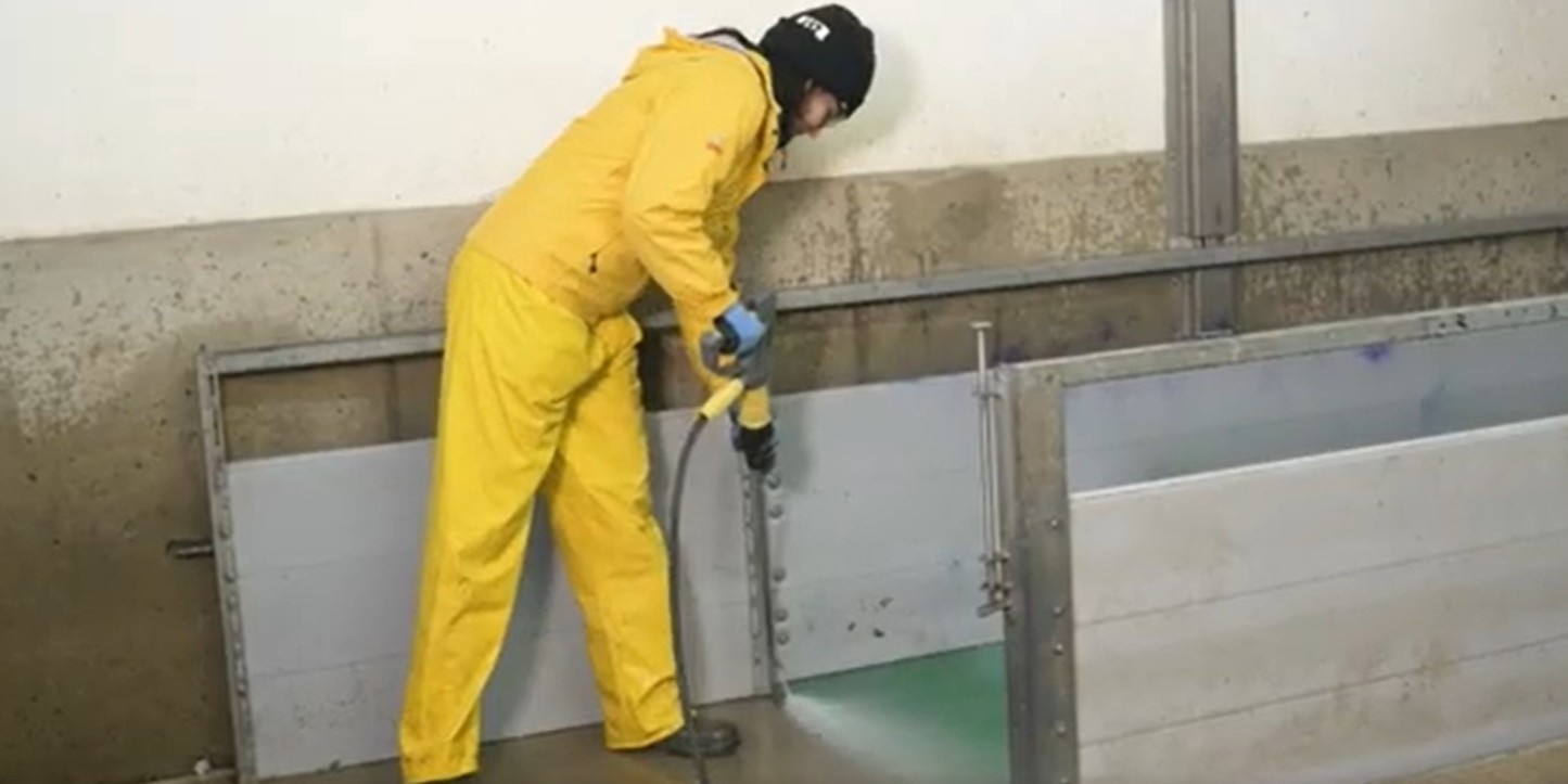 Cleaning lance in a fattening pen