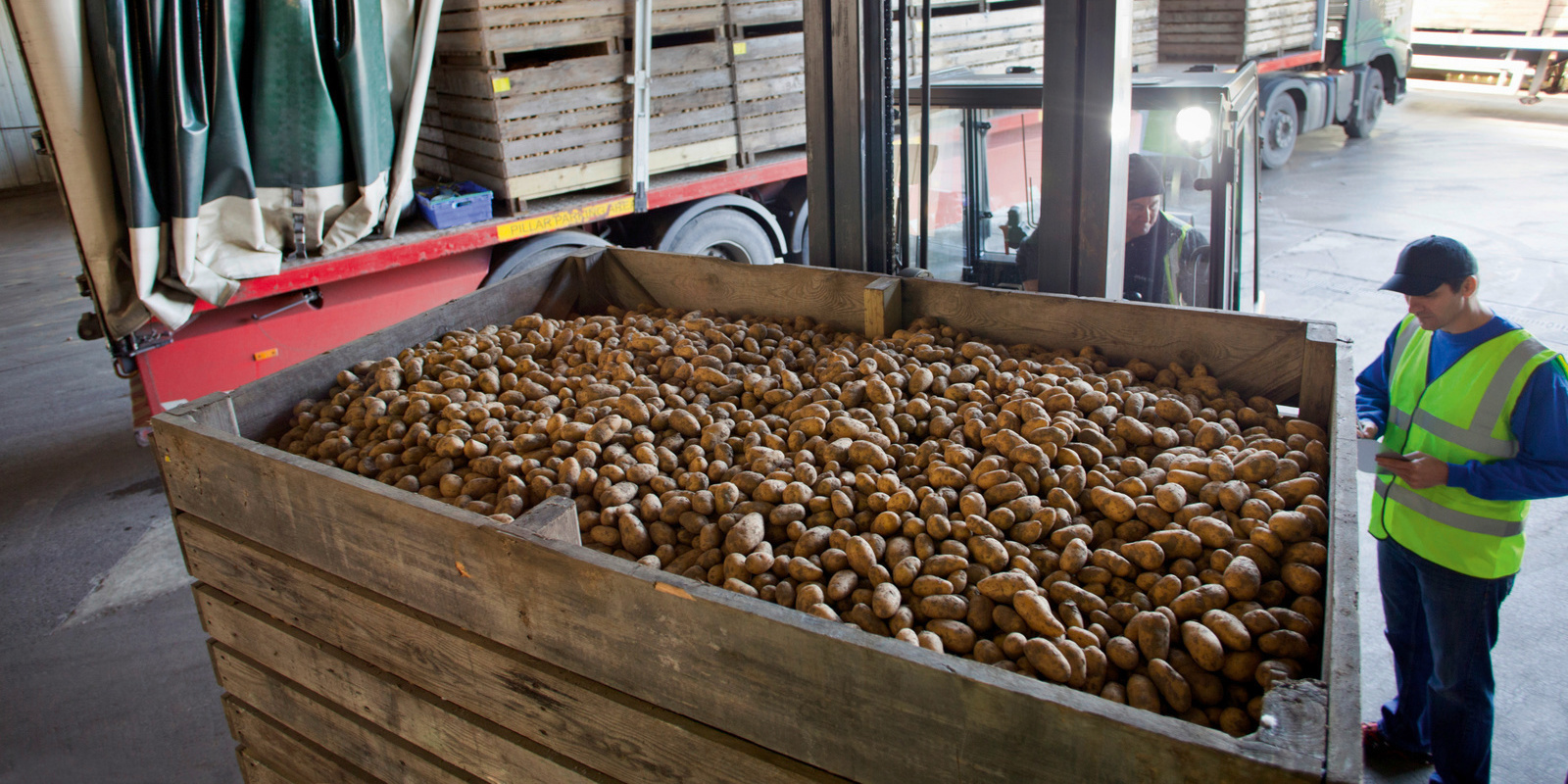 Potato production_cleaning
