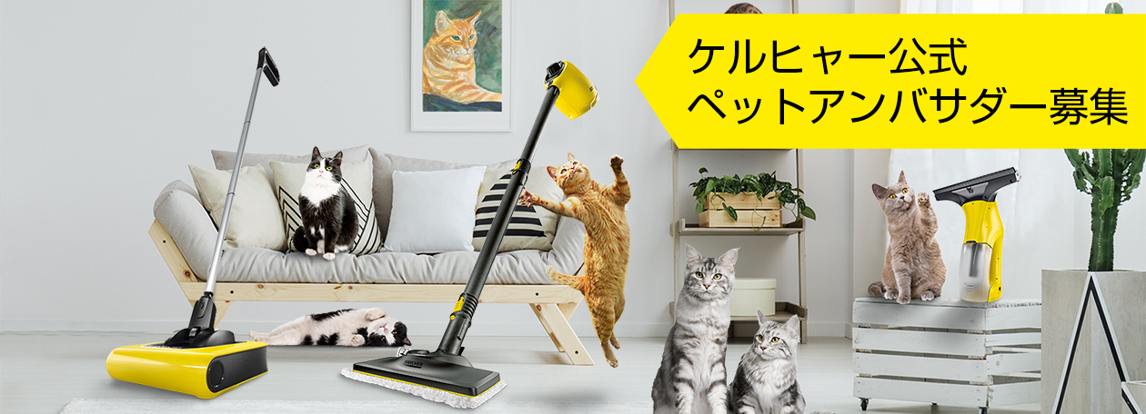 猫の日だから、ニャンニャンGP(グランプリ)ペットアンバサダー大募集 猫の日だから、ニャンニャンGP(グランプリ)ペットアンバサダー大募集