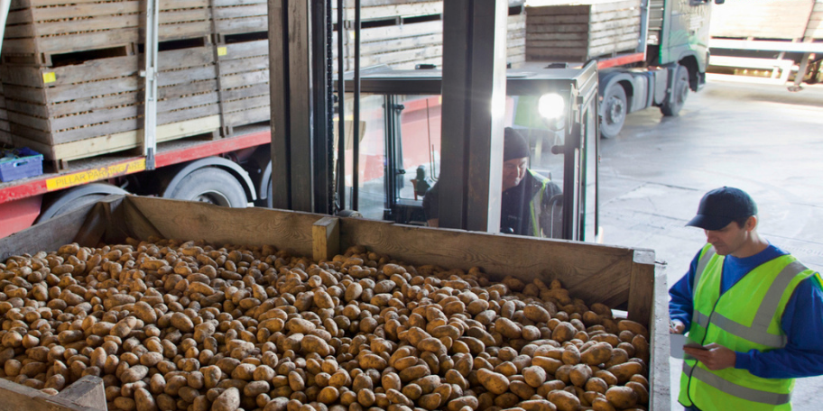 Klórprofám eltakarítás a burgonya raktárakból