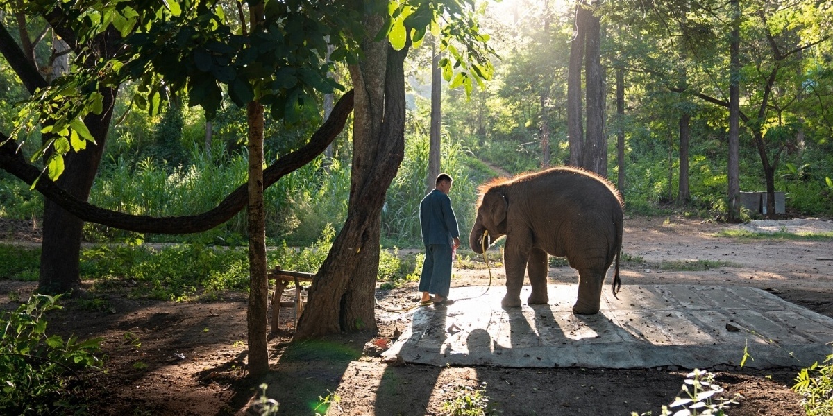 Historias de Kärcher en el mundo