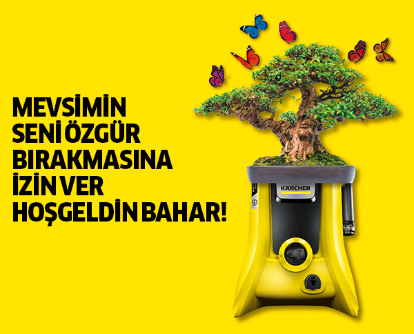 BANNER BANNER