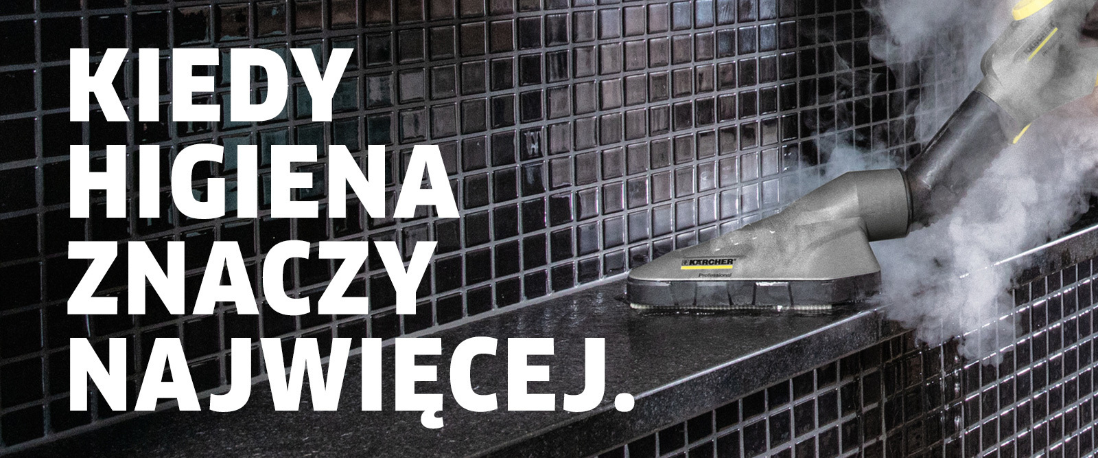 Profesjonalna dezynfekcja Profesjonalna dezynfekcja