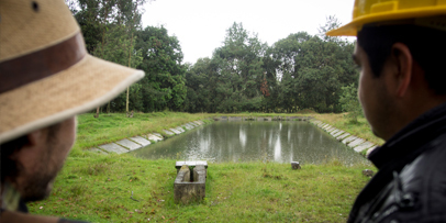 Sauberes Wasser durch Pflanzenkraft Sauberes Wasser durch Pflanzenkraft