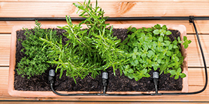 KRS® Topfbewässerungsset KRS® Topfbewässerungsset