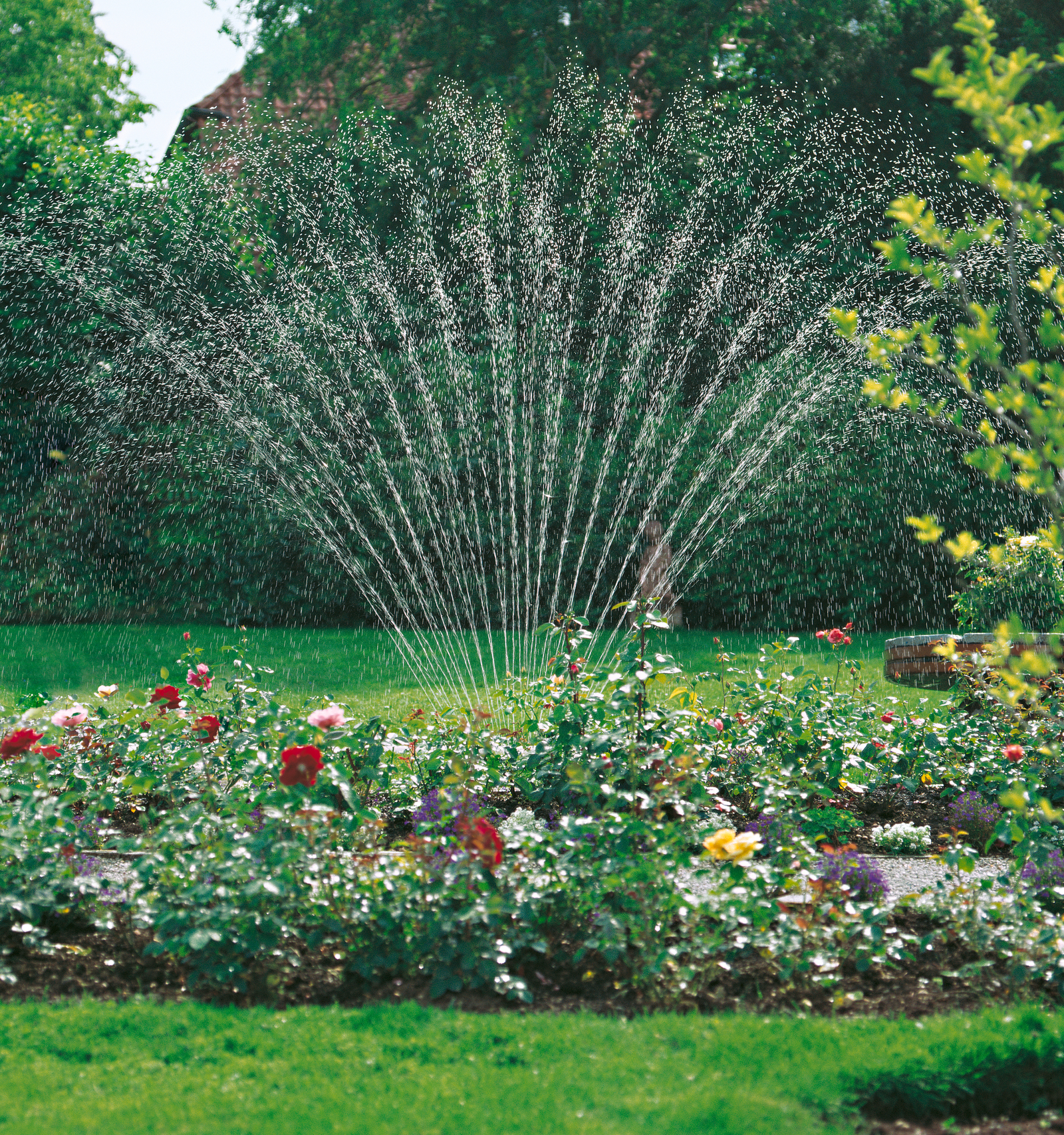Conseils pour l'arrosage du jardin Conseils pour l'arrosage du jardin