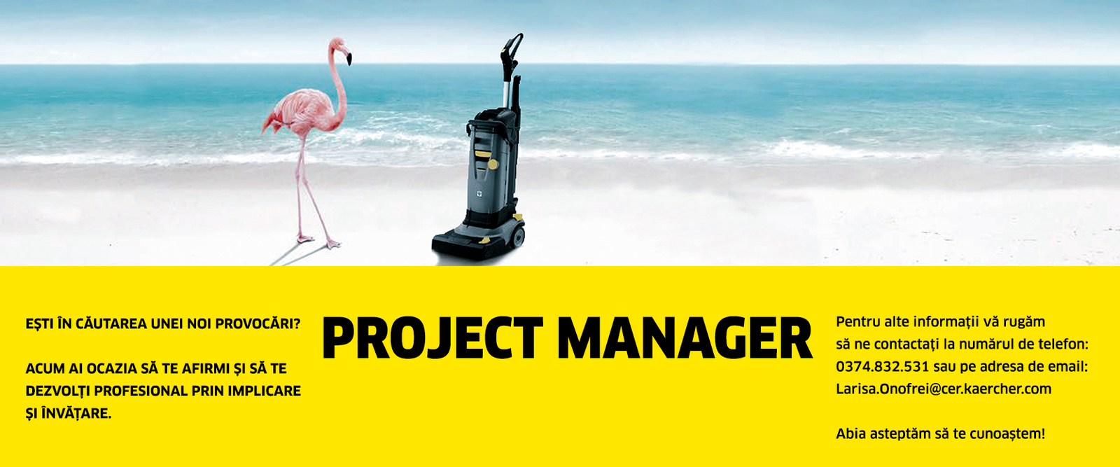 Project Manager Project Manager