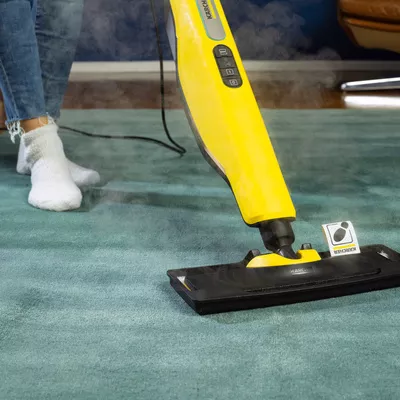 5 limpiadores de alfombras para acabar con cualquier resto de