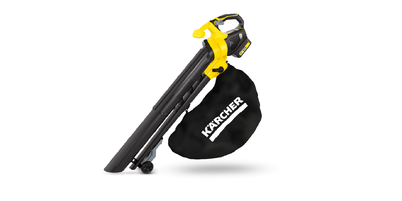 Jak se starat o fukar na listí