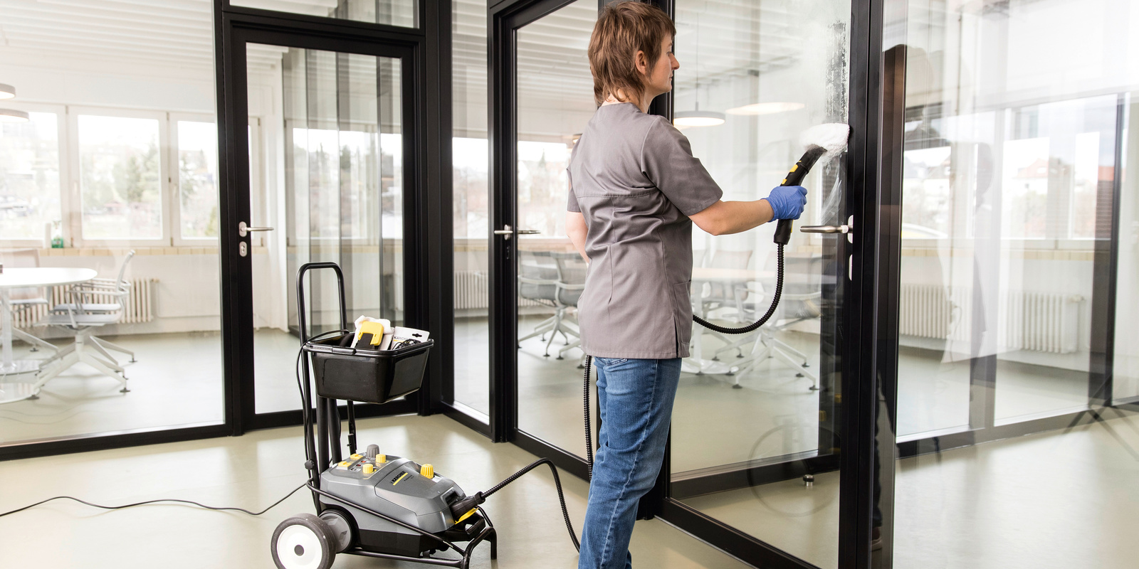 Dampfreiniger & Dampfsauger