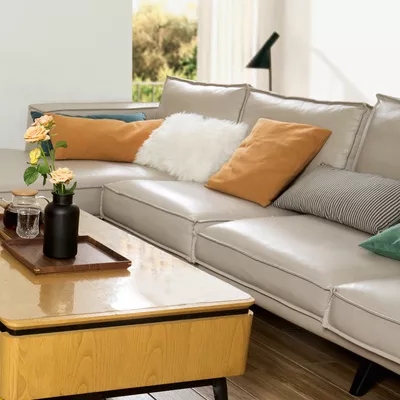 Limpieza manual de un sofá con un limpiador de vapor, concepto de limpieza  del hogar.