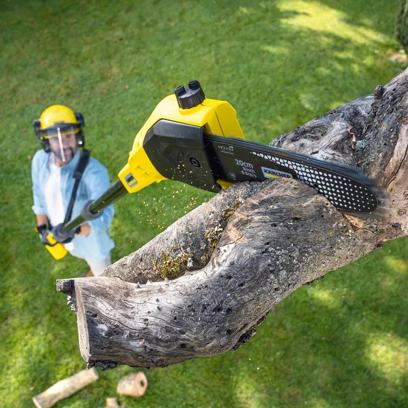 Как обрезать садовые деревья: секреты успешной обрезки