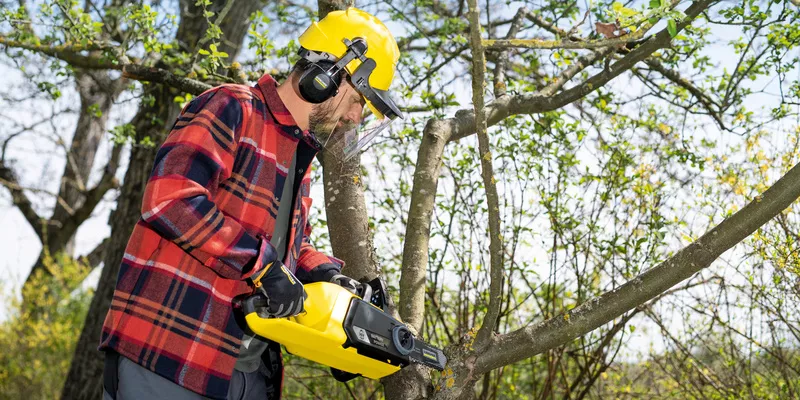 Cutting protection equipment when cutting trees with the Kärcher battery chain saw