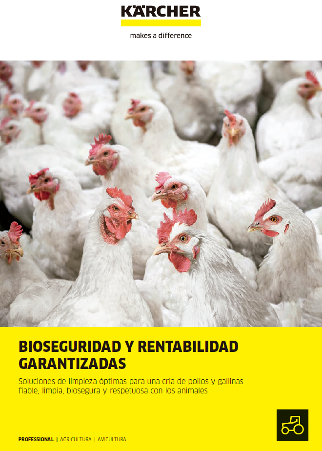 Agricultura avicultura