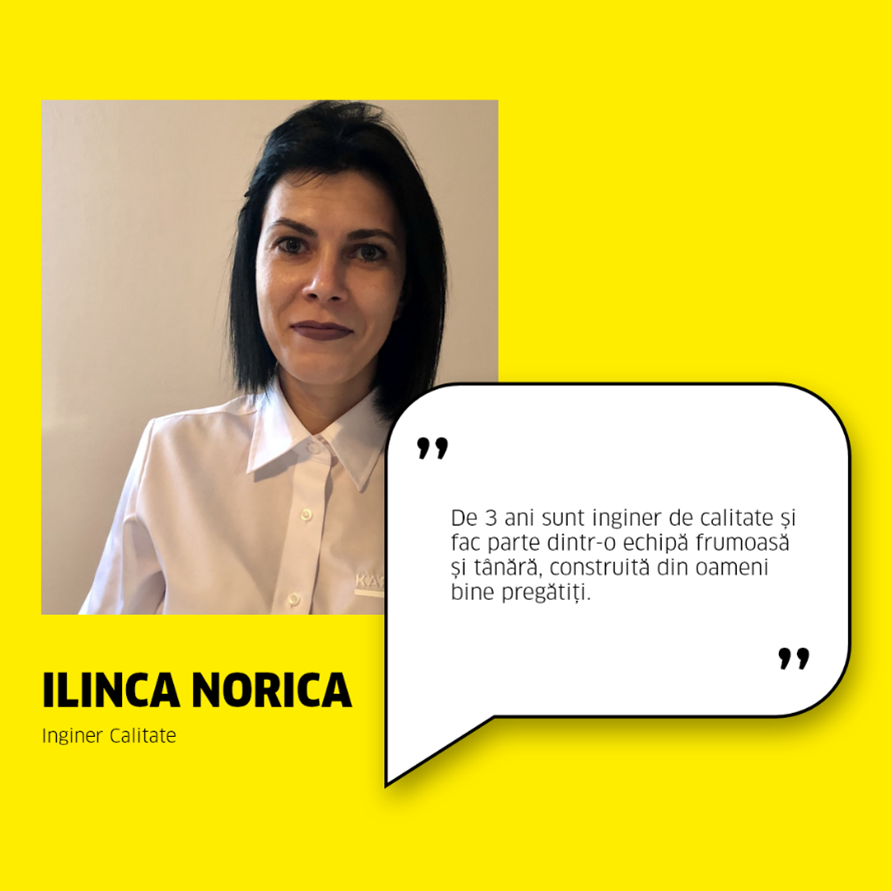 Ilinca Norica – Inginer Calitate Ilinca Norica – Inginer Calitate