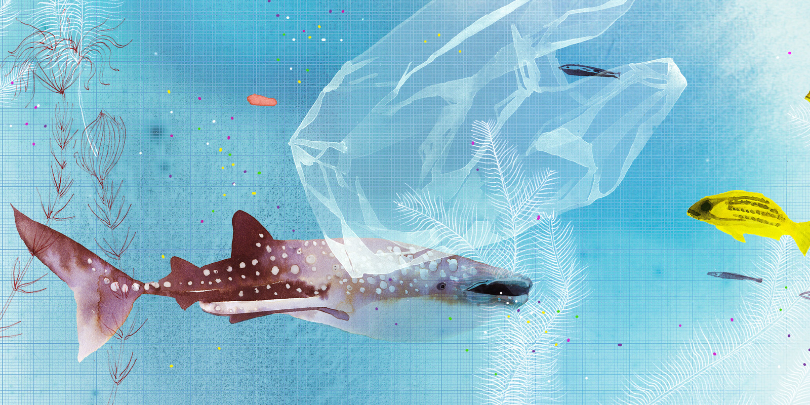 Header_microplastics Header_microplastics