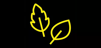 Pictogram of leaves