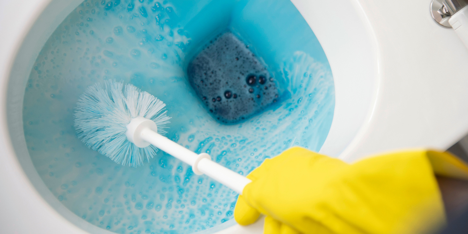 Nettoyage des toilettes avec un détergent et une brosse Conseil de Kärcher: nettoyer les toilettes avec un détergent et une brosse