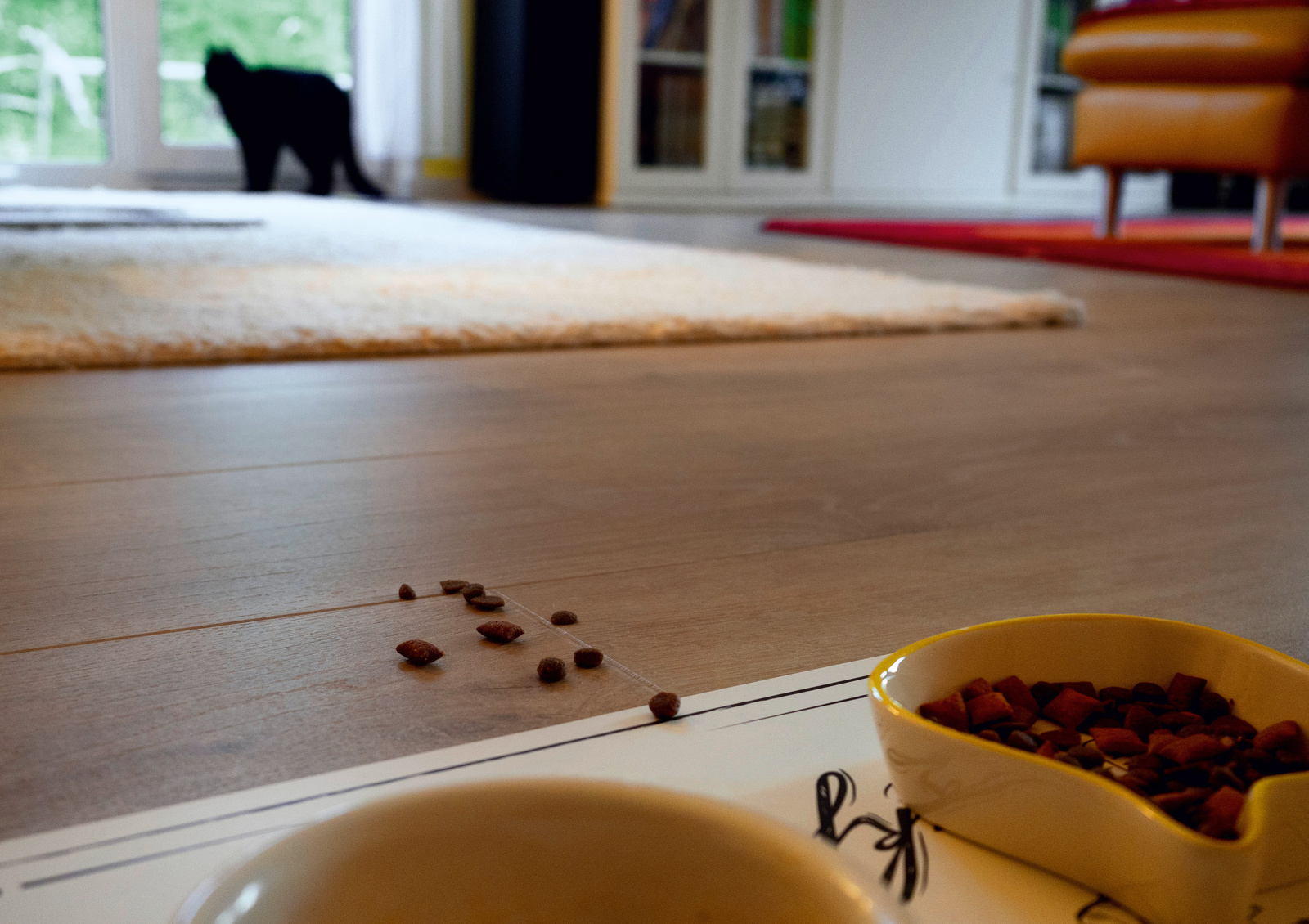Croquettes pour chat sur le sol Le chat renverse ses croquettes sur le sol