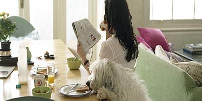 Mẹo làm sạch cho nhà nuôi thú cưng