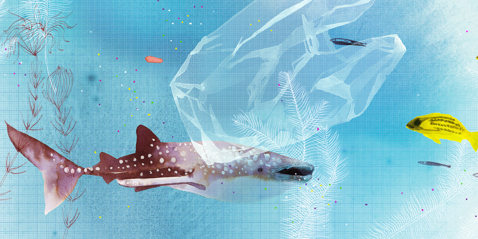 Header_microplastics Header_microplastics