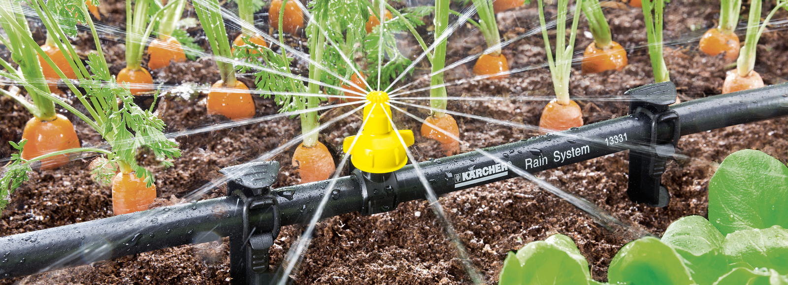 Máy hút bụi cầm tay không dây Karcher VC 4s Máy hút bụi không dây Karcher