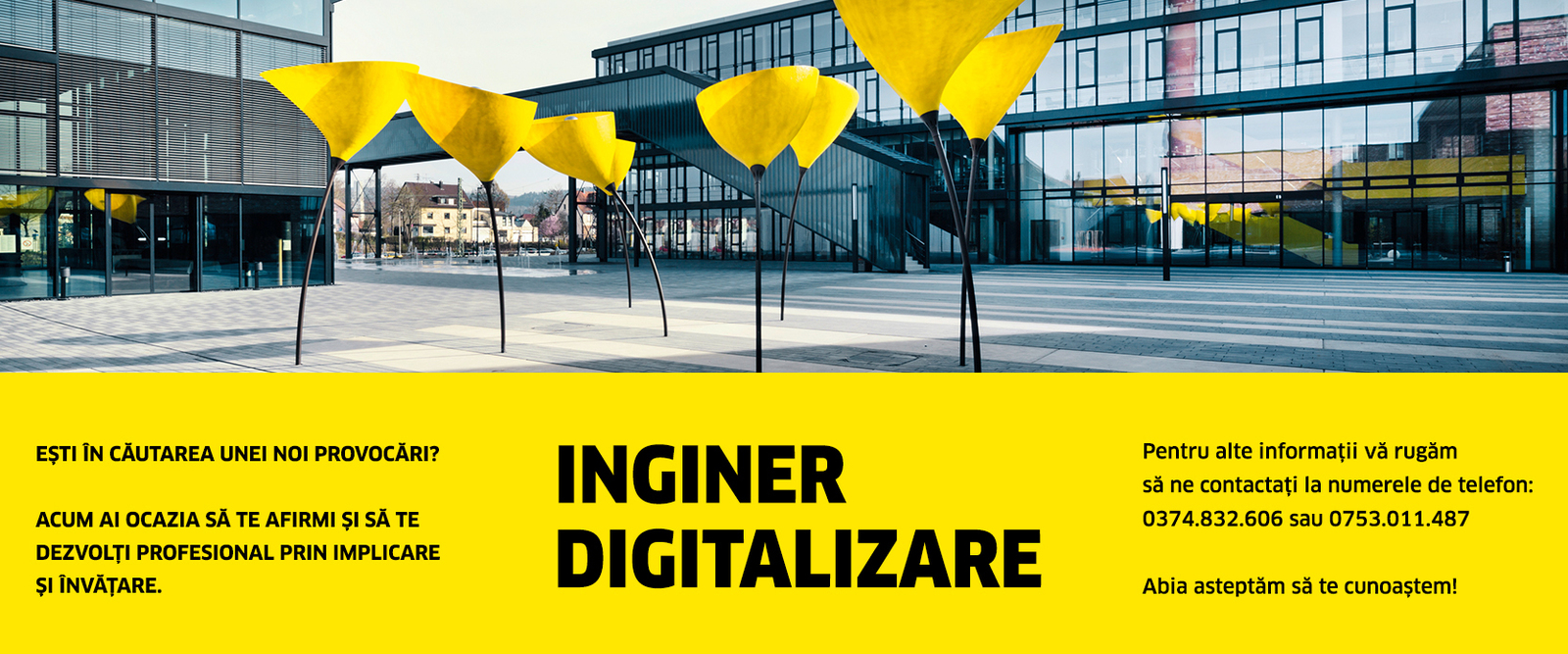 Inginer digitalizare Inginer digitalizare