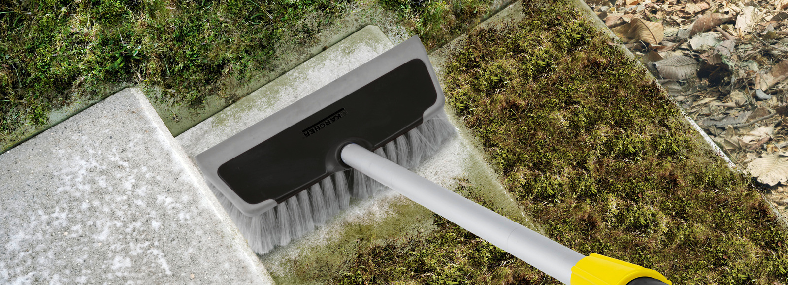 Sử dụng bàn chải cọ rửa thật sạch những mảng rêu đang bám