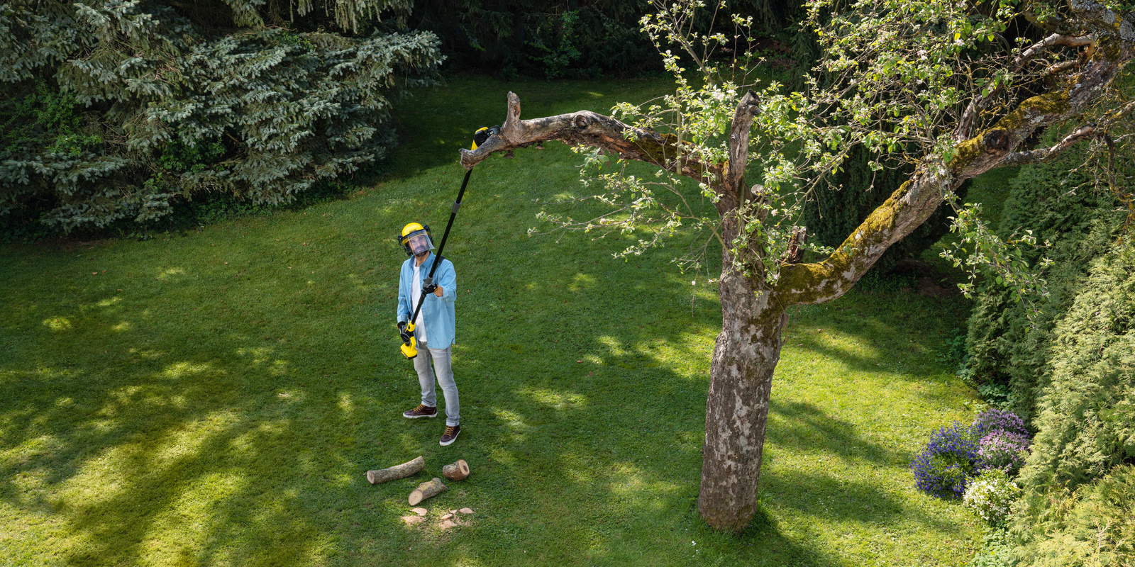 Travail dans de grands arbres à l’aide d’un coupe-branches sans fil Coupe-branches sans fil Kärcher pour le travail dans de grands arbres