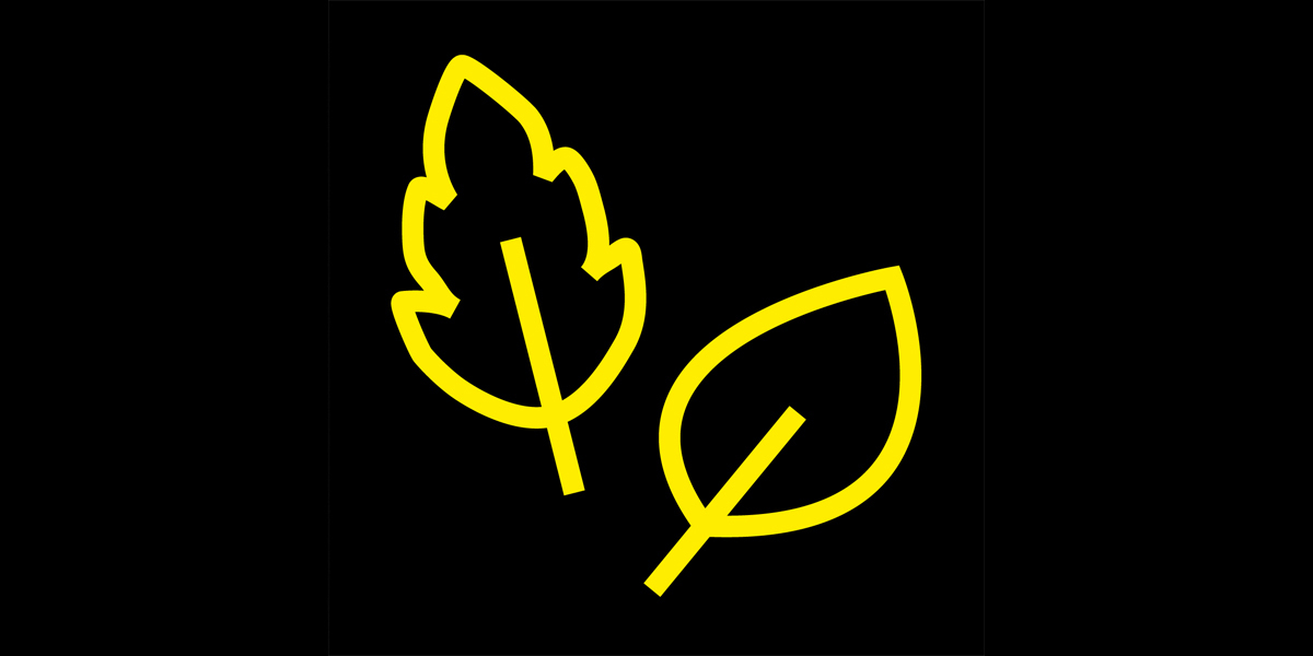Feuille Pictogramme d’une feuille