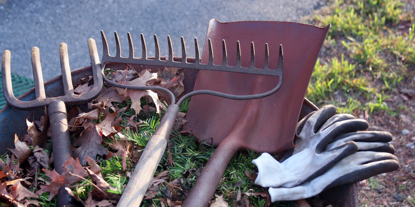 Éliminer la rouille sur les outils de jardinage Conseil de Kärcher: Éliminer la rouille sur les outils de jardinage