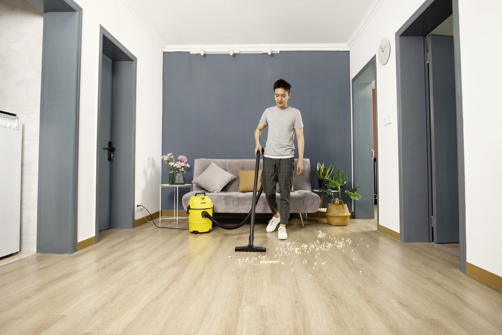 Wet and dry vacuum cleaner WD 1 Classic 