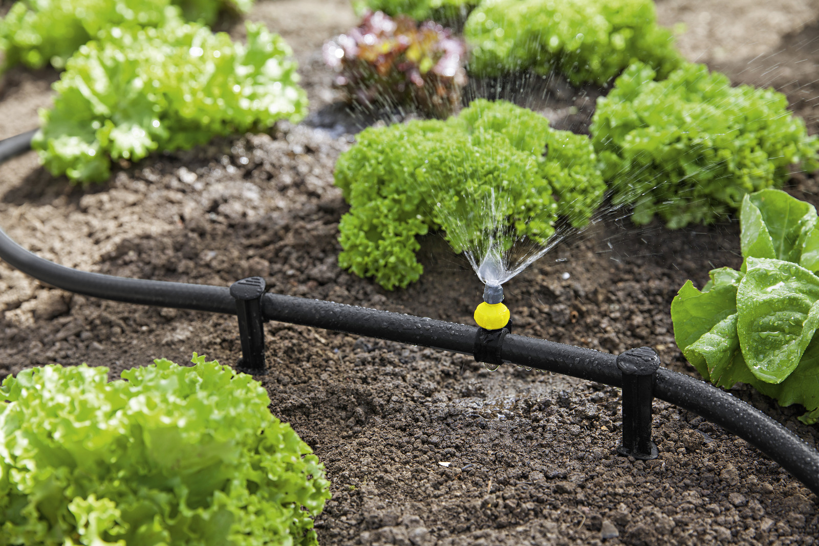 Kärcher Rain System Hose for Garden Irrigation System 
